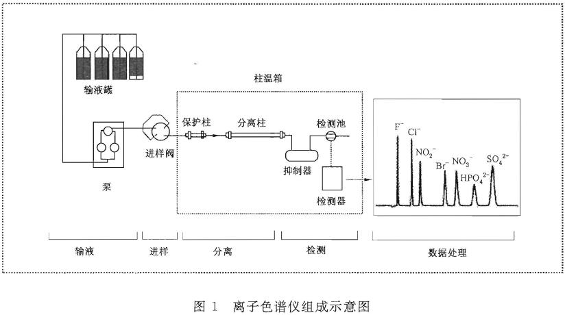 進(jìn)行定性和定量分析